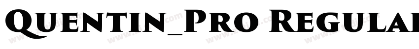 Quentin_Pro Regular字体转换